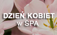 Dzień kobiet 2019 - oferty