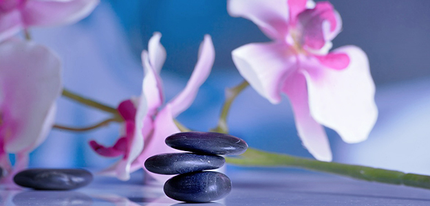 Long Day SPA w Modrzewie Park Hotel*****