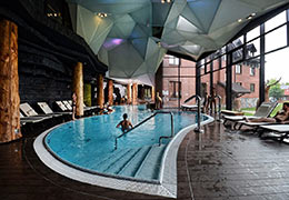 www.hotel-zubrowka.pl