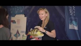 Baltic Sail Gdańsk 2020